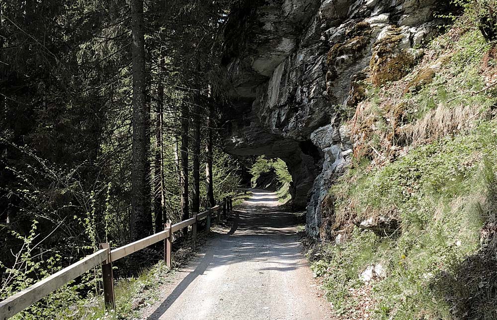 Straße im Wald führt durch Felsenvorsprung