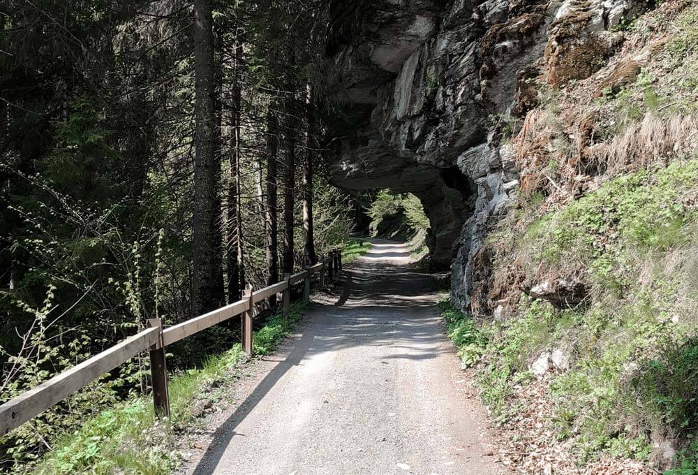 Straße im Wald führt durch Felsenvorsprung